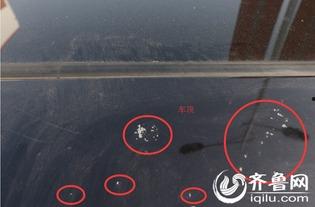 赵先生最新爆料新闻,揭秘娱乐圈最新劲爆新闻